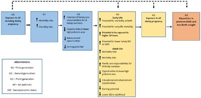 Structural racism, air pollution and the association with adverse birth outcomes in the United States: the value of examining intergenerational associations